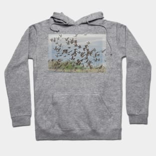 Scattering of Blackbirds Hoodie